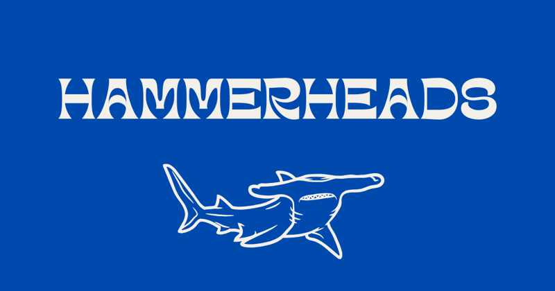 Hammerheads