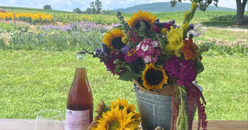 🌽 Farmers Markets, New Weis, Backyard Dreams & Fireworks Fun