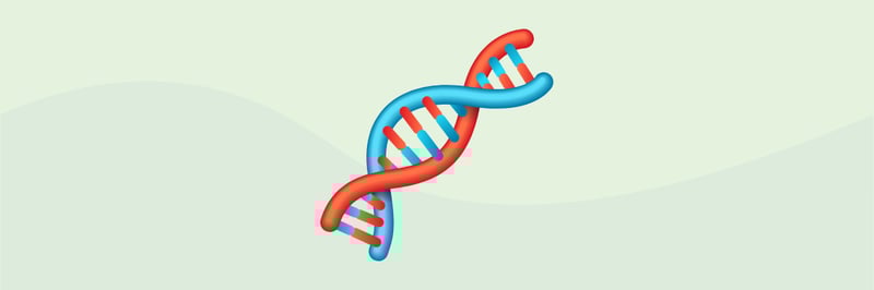 Edição #029 — 13/10/2025