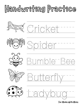 Insect Handwriting Practice