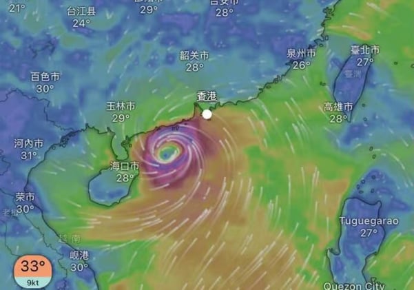 天文台颱風最新消息 vs ECMWF 模型預測有異,Windy :「移動較緩、強度更強」