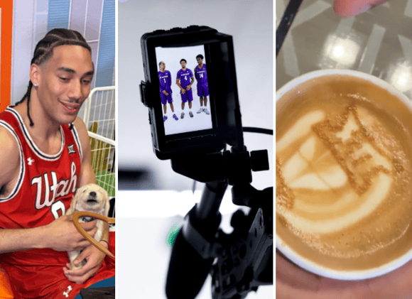 Puppies, perks and photos