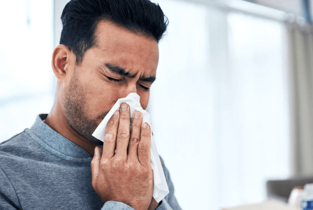 Nasal Turbinates Explained