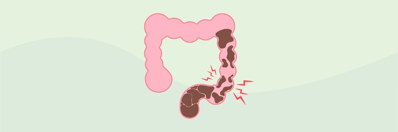 Edição #028 — 06/10/2025