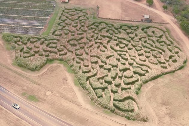 Which Mexican Restaurant Reigns Supreme?