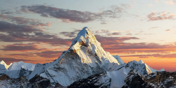 Welcome to the Salescraft newsletter