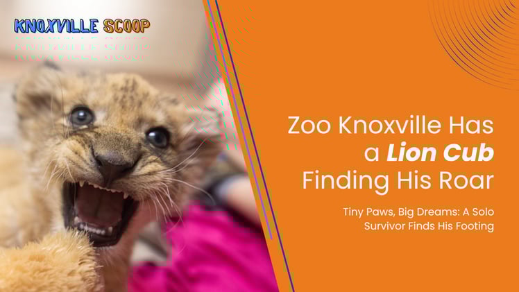 🛤️ Knoxville just made a national trail-town list (plus why we're not surprised...)