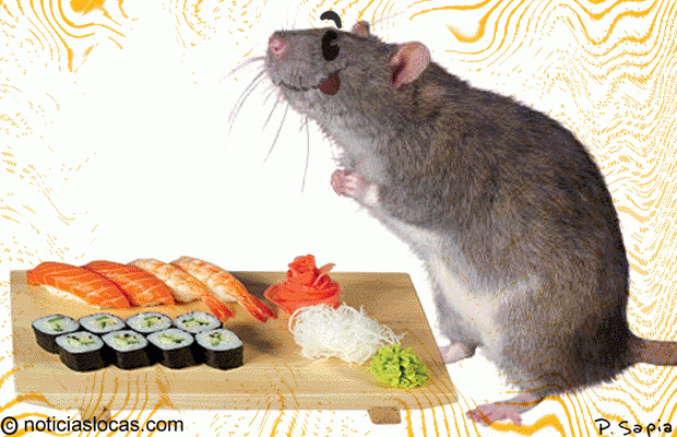 Sushi para hamsters y otras delirantes mini comidas japonesas