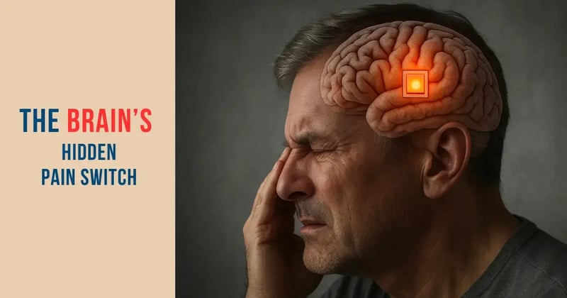 The Brain's Hidden "Pain Switch"