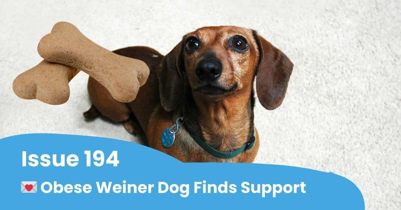 💌 Obese Weiner Dog Finally Gets Support