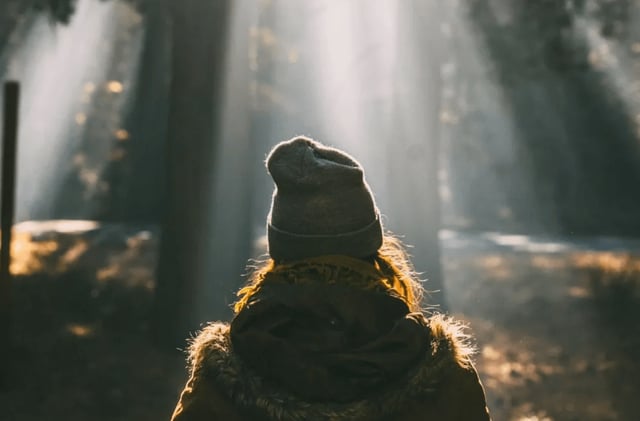 Five Steps to Discover True Wisdom