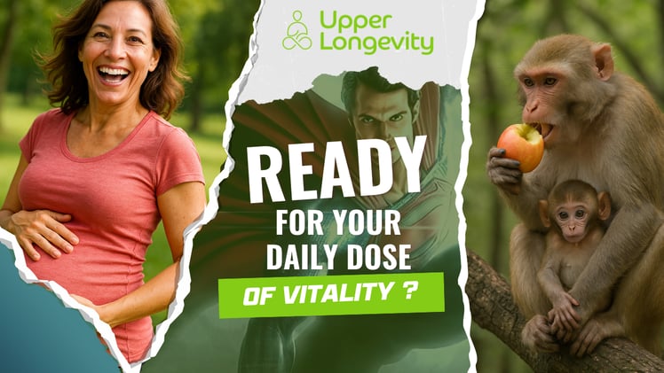 CUTTING 30% CALORIES : A KEY TO SLOWER OVARIAN AGING ?