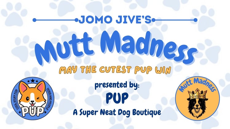 ☕️ We've Found the "Cutest Dog in Joplin"