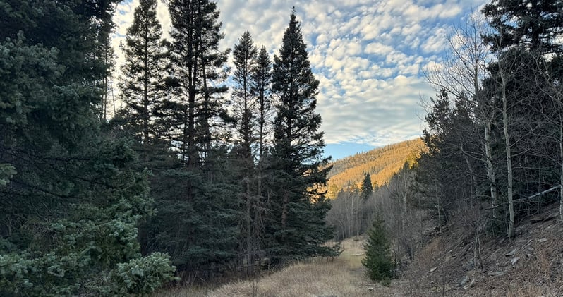 Road walking for the 2026 SF2T route cut in half | 1,000 guidebooks sold 