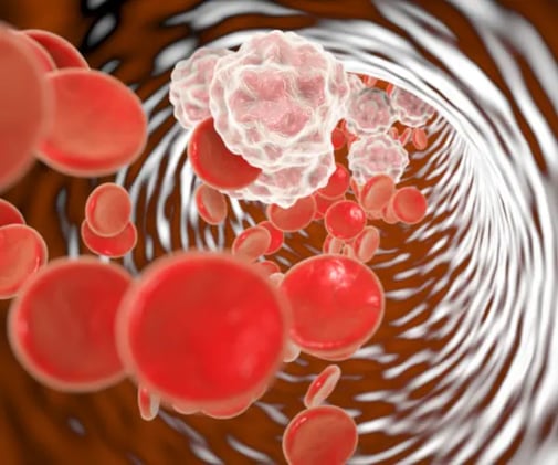 🩺 Inside Your Cells: How fat tissue affects your immune system