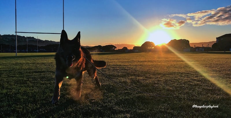 The night I slept on the floor of my own gym