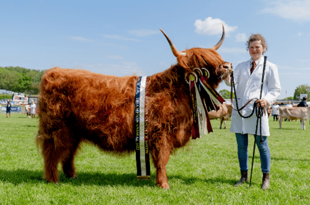Devon Country Shows 2024