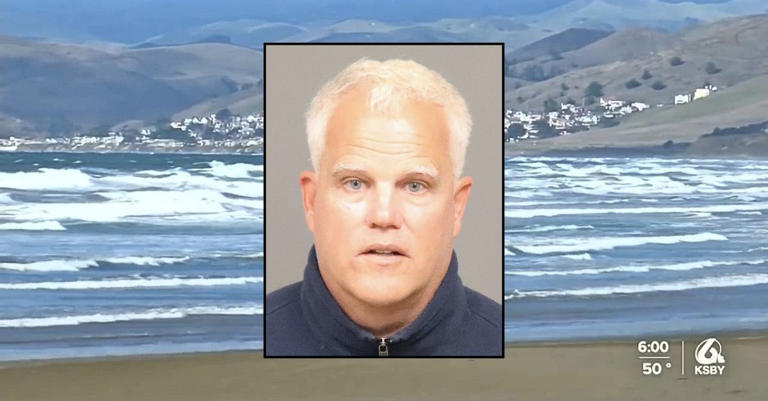 Salty Ginger Talk Newsletter