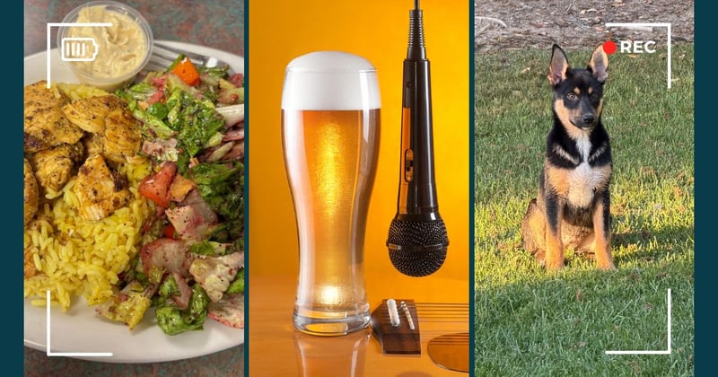 Downtown Bites, Pet Love & Sunday Plans