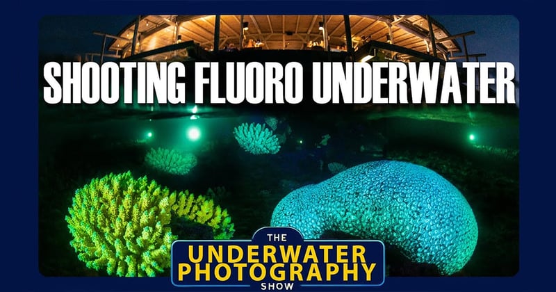 Shooting Fluorescence Underwater