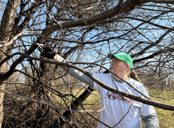 At a Virginia vineyard, volunteers band together to fight lanternflies // Napa’s Trefethen winery transitions to next generation of leadership