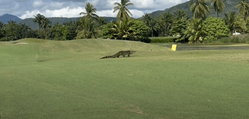 Newsport Alert Thursday 29 May 2025