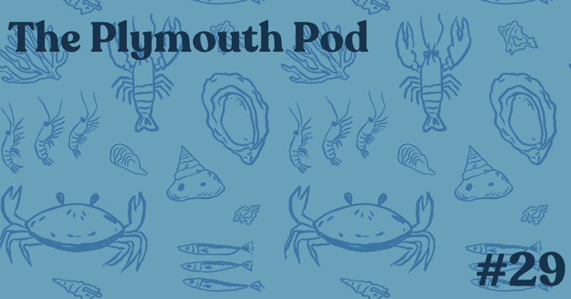 Plymouth Pod #29