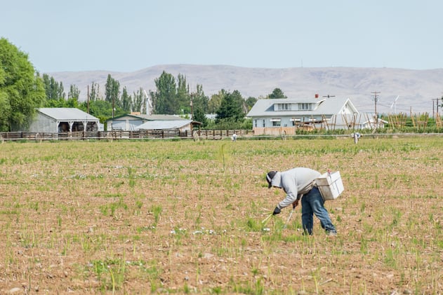 033126 Tell The USDA: Honor Your Contracts With Farmers