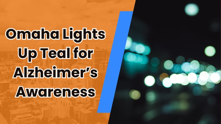 💡 Teal lights, tree lights, and the zoo’s got news!