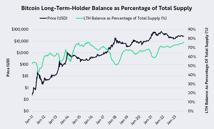 Digital Beans-What are Bitcoin fundamentals suggesting
