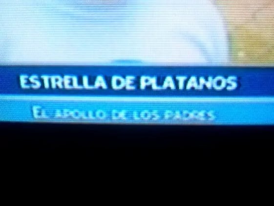 Nada se pierde