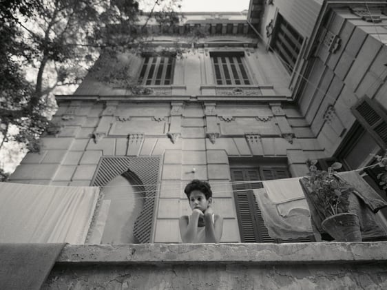 Directors Notes Weekly