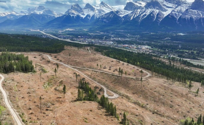 📸 The Moraine Lake Rush