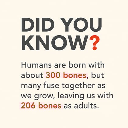 Why Babies Have More Bones Than Adults