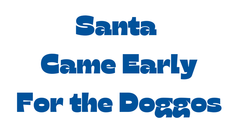 Santa came early for the doggos