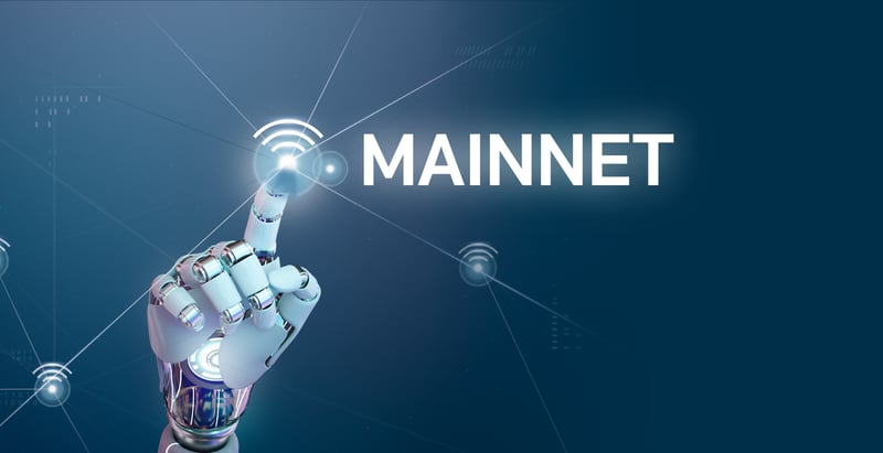 Are You Missing These 10 Crucial Mainnet Elements? (Don't Get Left Behind!)
