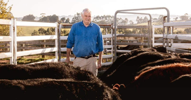 Leongatha beef farmer says counting your carbon is a cinch