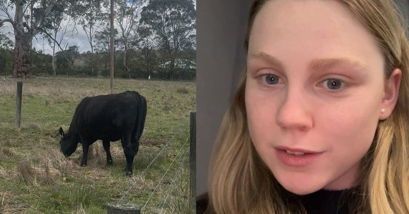 WATCH: Could selective breeding be the key to reduce methane emissions?