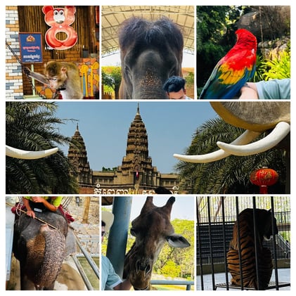 Phnom Penh Safari | 1 Day Trip
