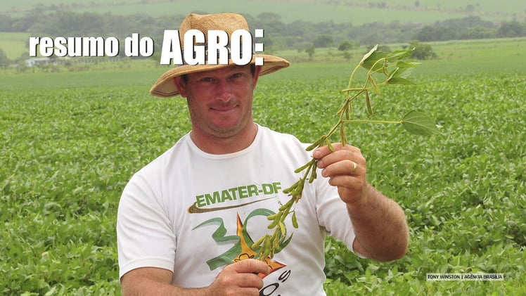 Coreia do Sul quer soja brasileira