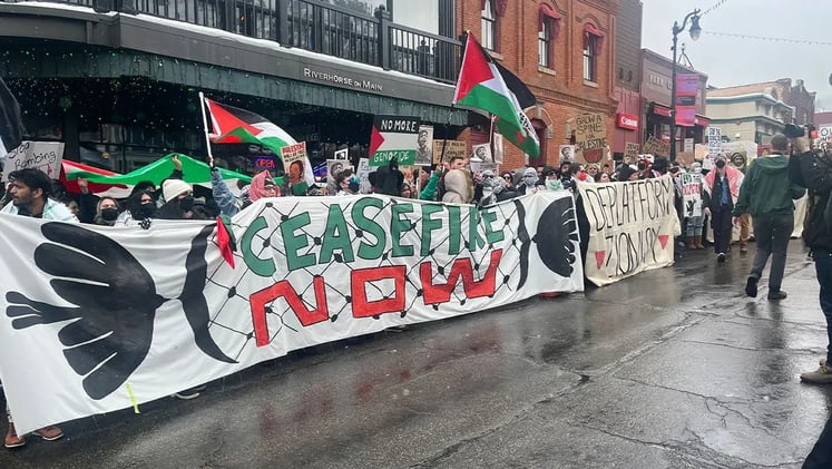 We're Dreaming of a Free Palestine 🍉 