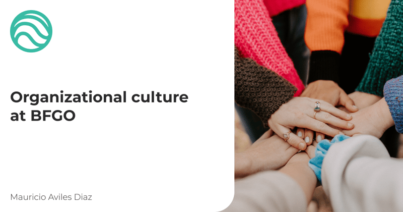 Organizational Culture at BFGO