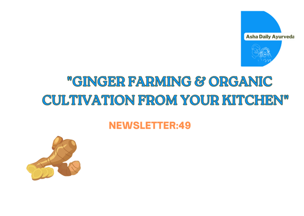  Ginger Farming & Organic Cultivation from Your Kitchen