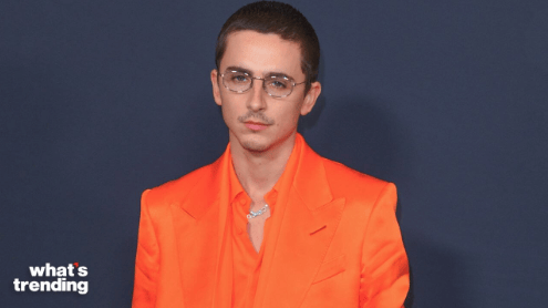 Timothee Chalamet's Ballet Comments Aged Badly in Record Time