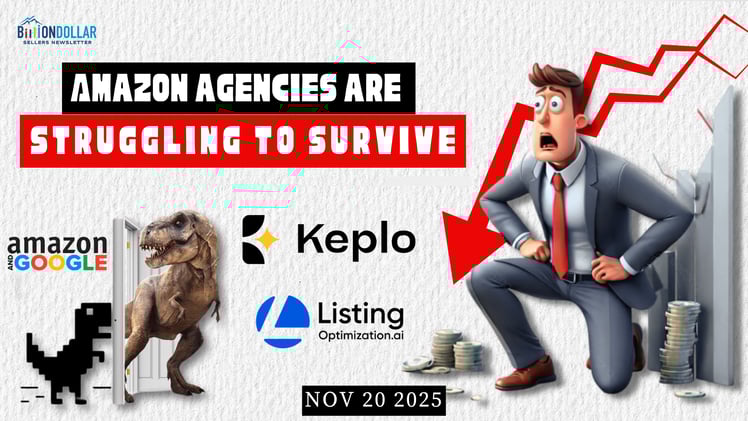 [ BDSN ]  Amazon agencies are struggling to survive