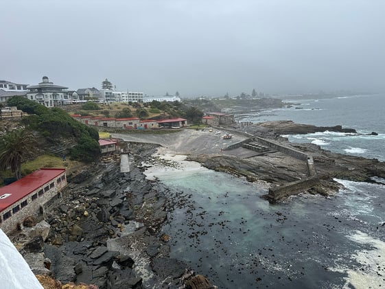 Local Smiles & Holiday Energy