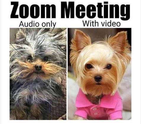 Zoom calls exposed to eavesdropping