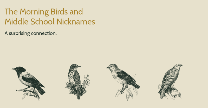 The Morning Birds and Middle School Nicknames
