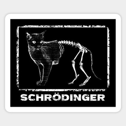 Gato de Schrödinger + Noticias