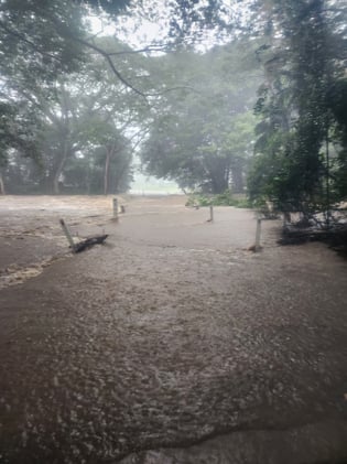 Newsport Alert Tuesday 30 December 2025